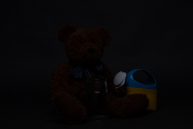 Nikon D200, ISO200, gnadenlos unterbelichtet