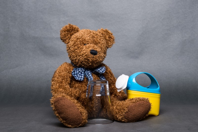 NIKON CORPORATION NIKON D800 -  24.0-70.0 mm f-2.8(50 mm) -ISO 200 gut