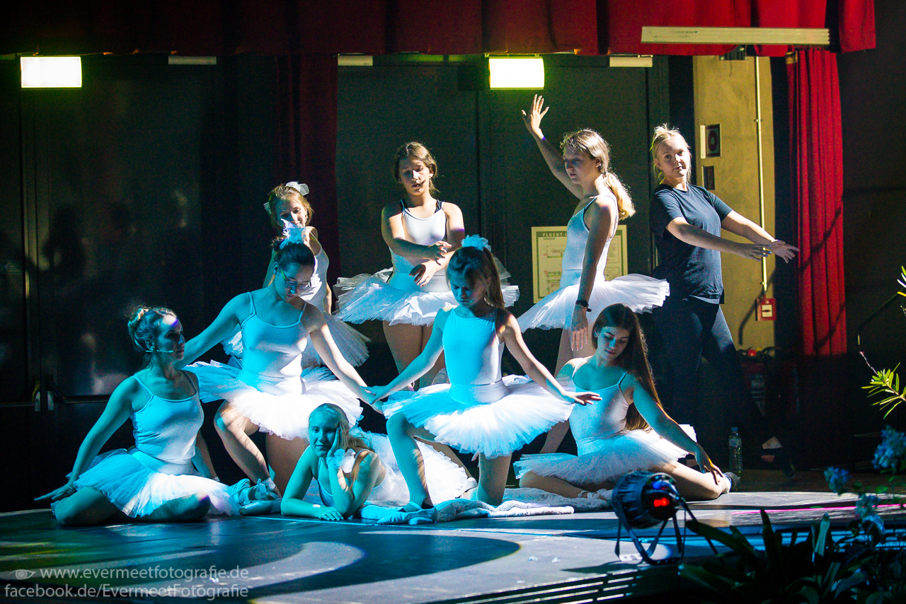 Schwäne und große Bühne